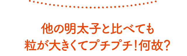 他の明太子と比べても粒が大きくてプチプチ！何故？